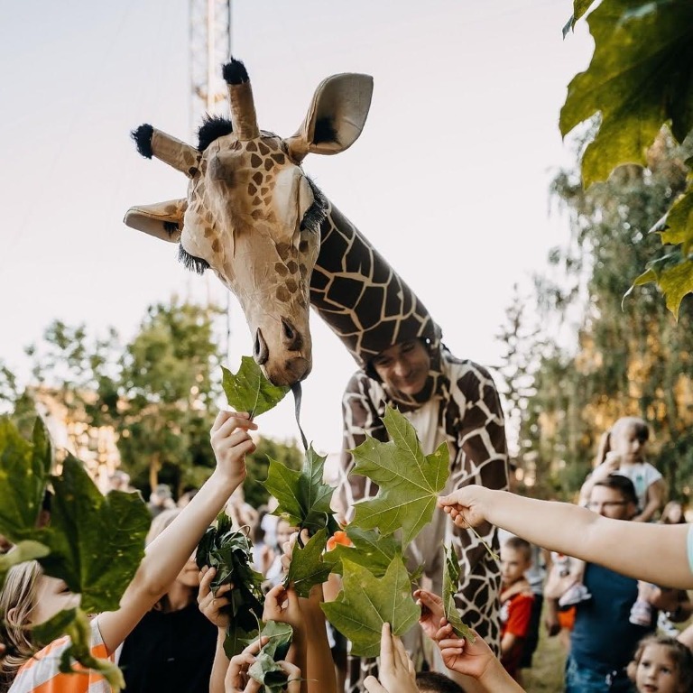 giraffes-2