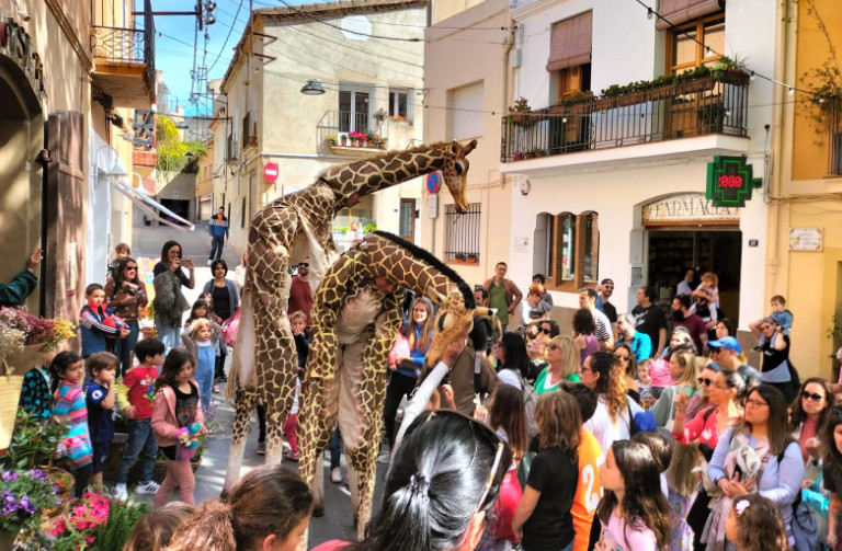 giraffes-3