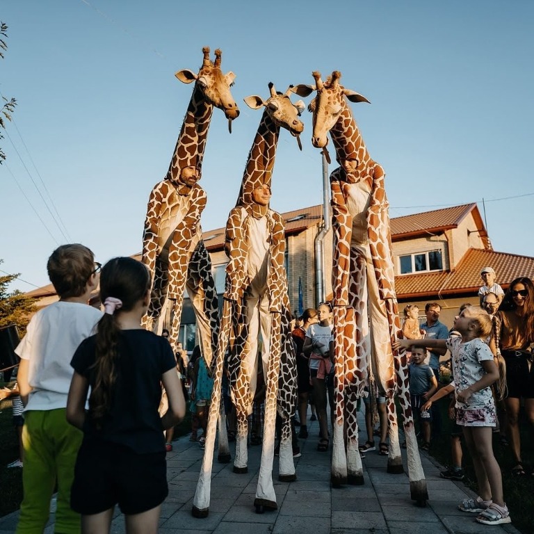Girafes
