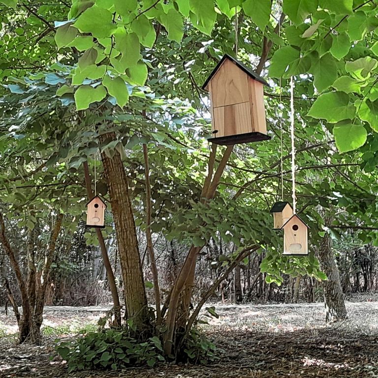 Clásicos que anidan