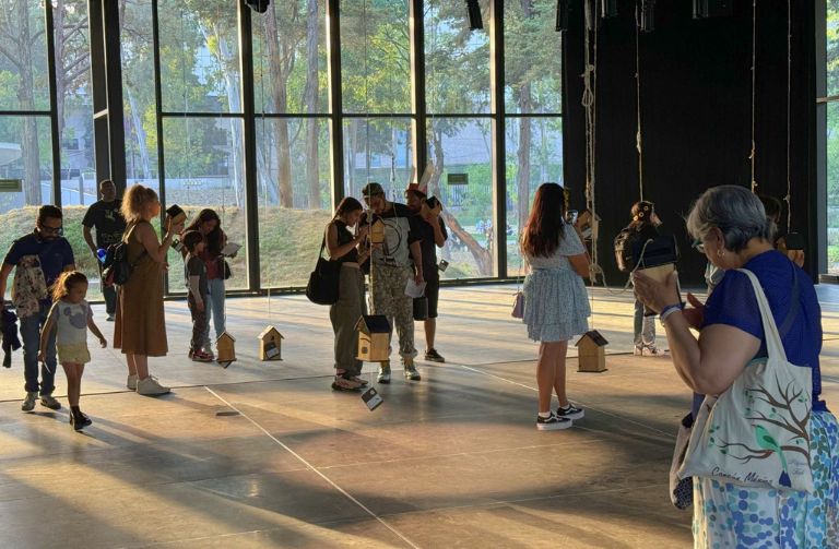 clasicos que anidan (11)