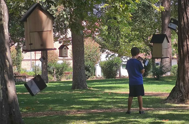 clasicos que anidan (9)