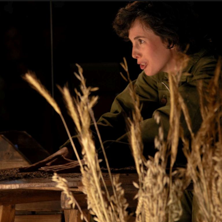 Una Rueda almealera (2)