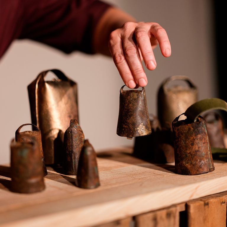 Yo nací en un surco de judías